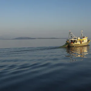 Panorama s kupanjem